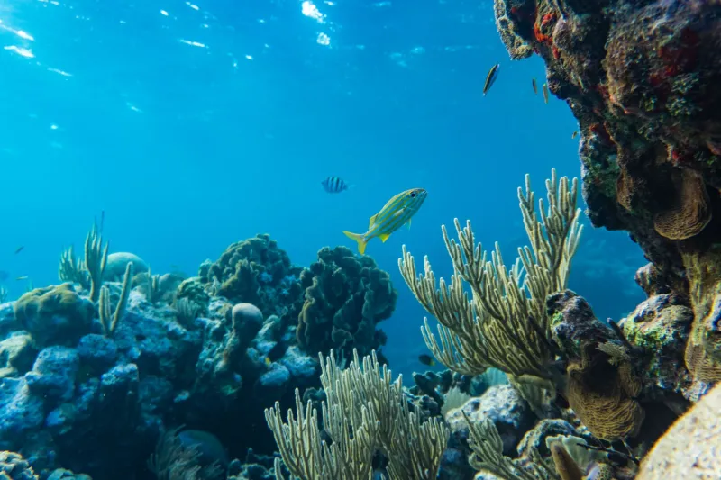 The People Rebuilding Tayrona: Inside the Quiet Conservation Fight for Colombia's Wild Coast