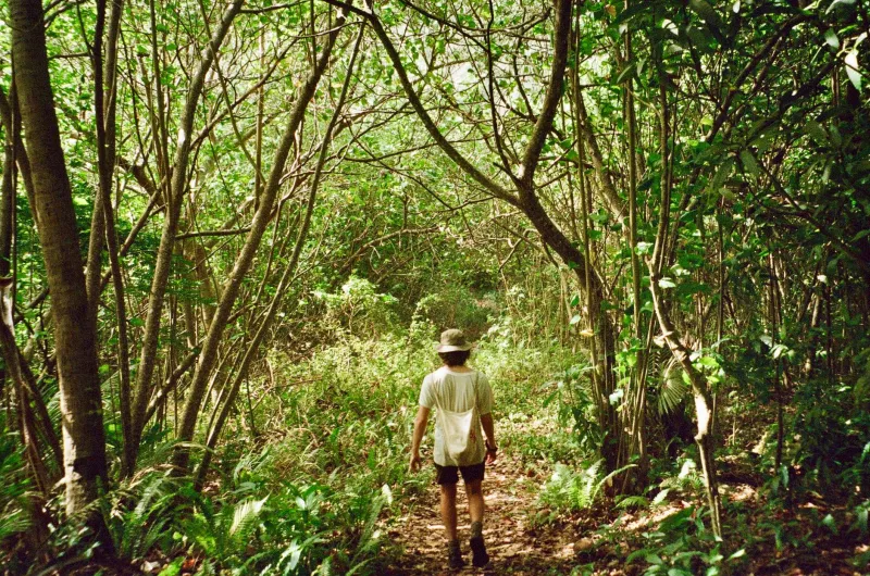 How Tayrona Broke My Travel Brain (In the Best Possible Way)