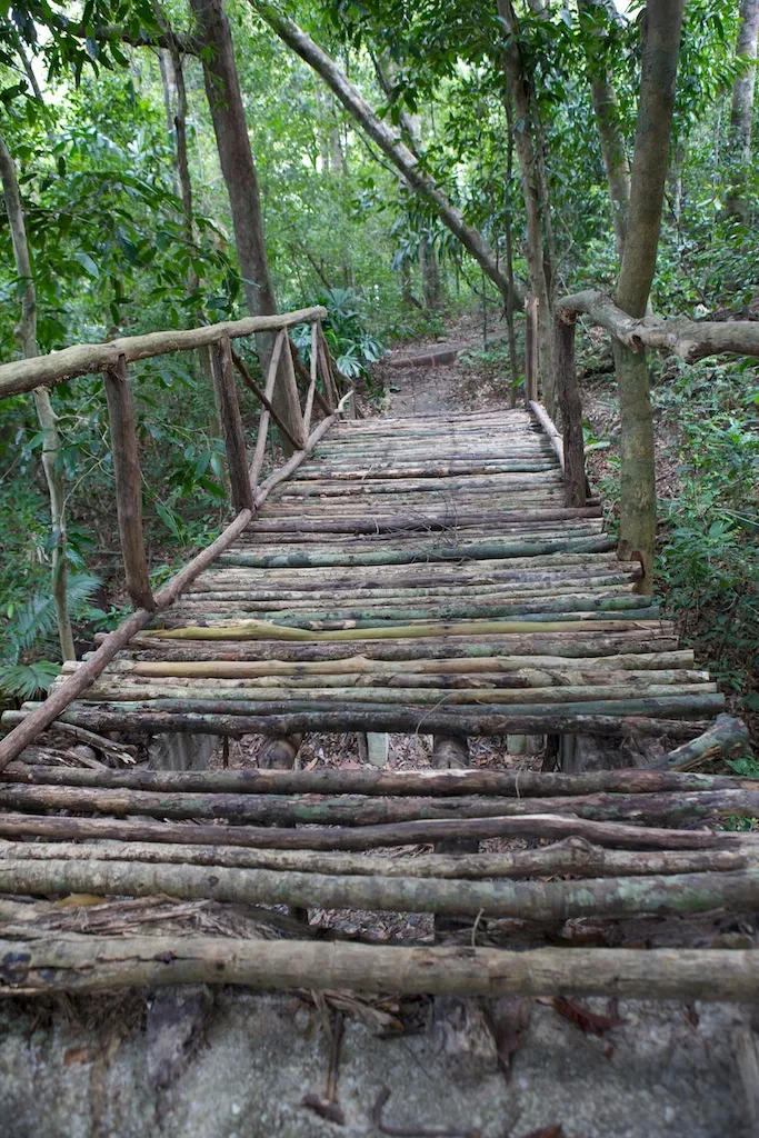 Six Weeks Out: The Training Plan That Gets Your Legs Ready for Tayrona's Jungle Trails