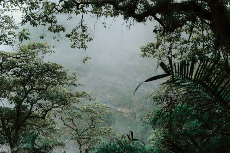 Something Shifts in the Jungle: The Unexpected Ways Tayrona Gets Under Your Skin