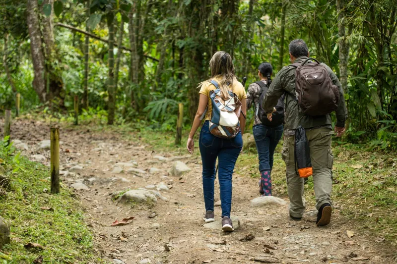Tayrona Won't Coddle You — And That's Exactly What Nobody Tells You